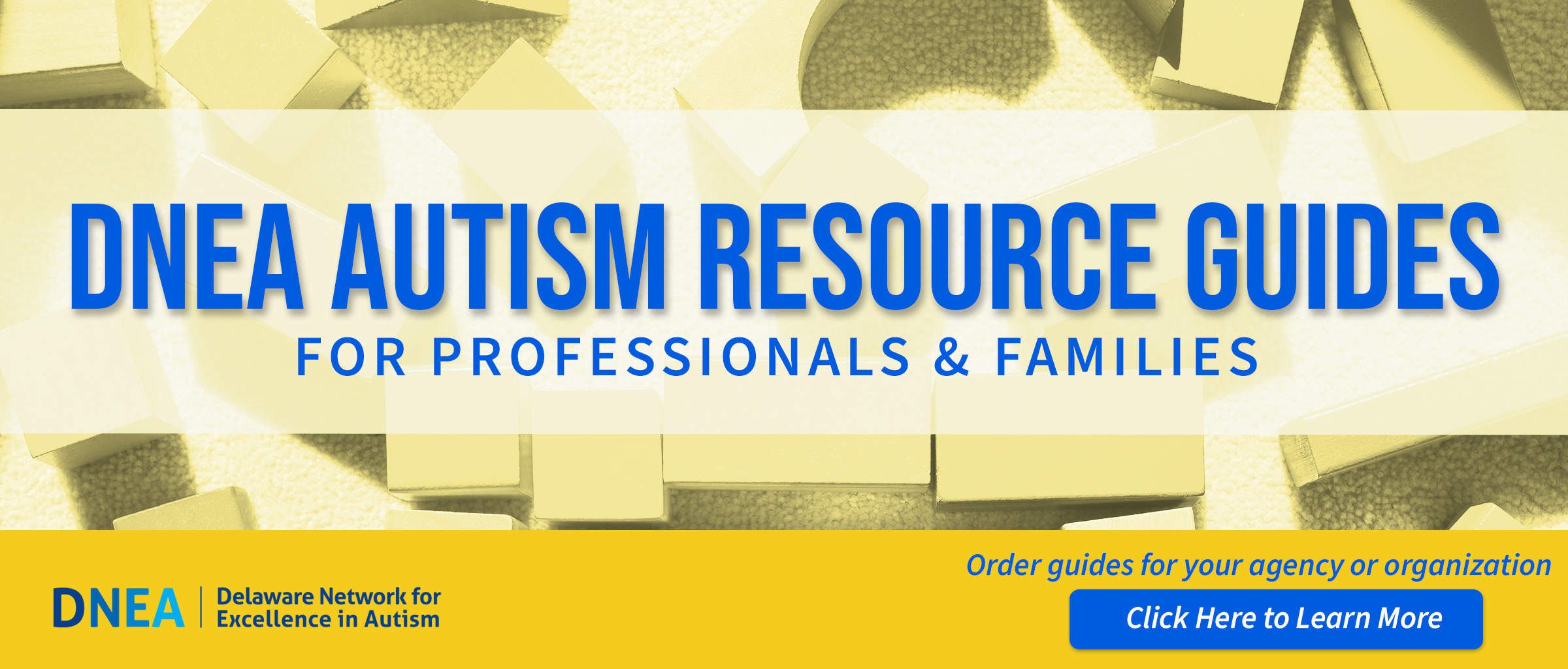 Order DNEA autism resource guides for professionals and families
