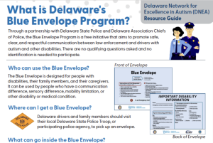 What is Delaware's Blue Envelope Program?